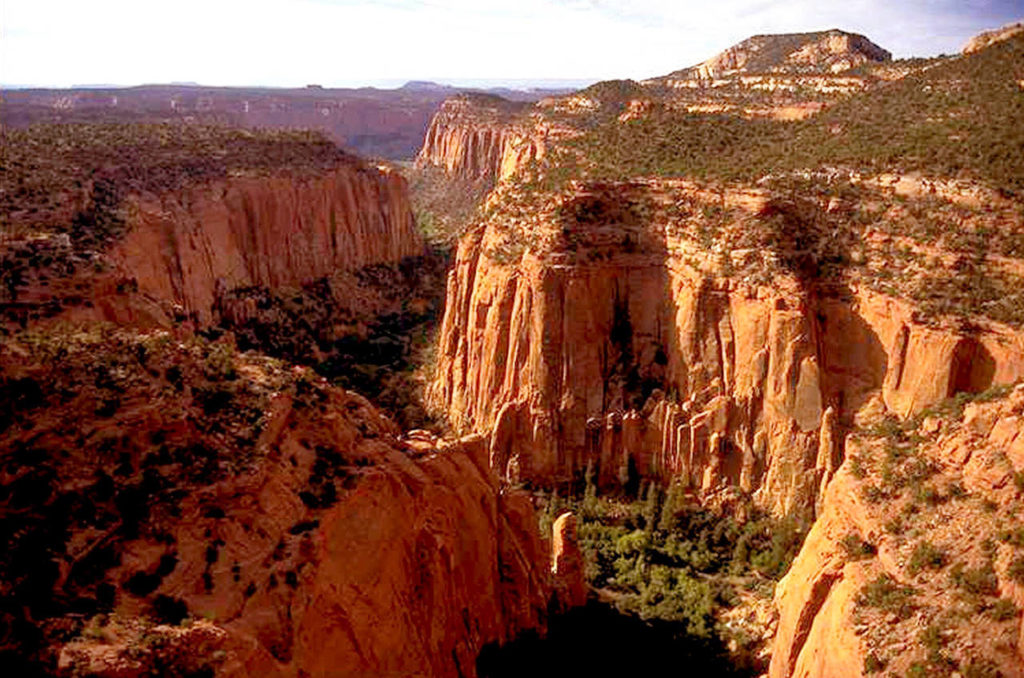 In this undated photo, the Upper Gulch section of the Escalante Canyons within Utah’s Grand Staircase-Escalante National Monument features sheer sandstone walls, broken occasionally by tributary canyons. (AP Photo/Douglas C. Pizac, File)
