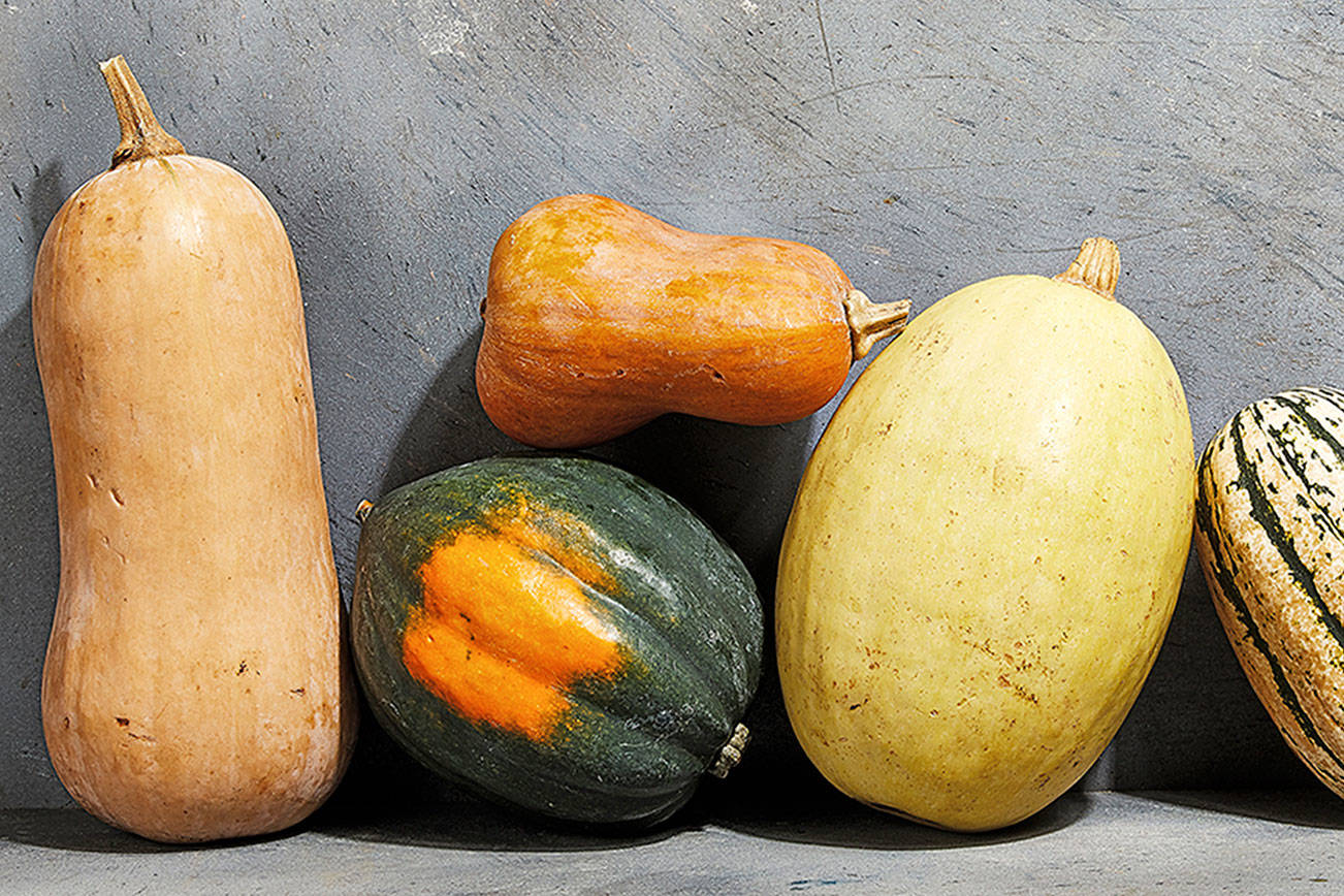 How to peel, prep and cook all the winter squash this season ...