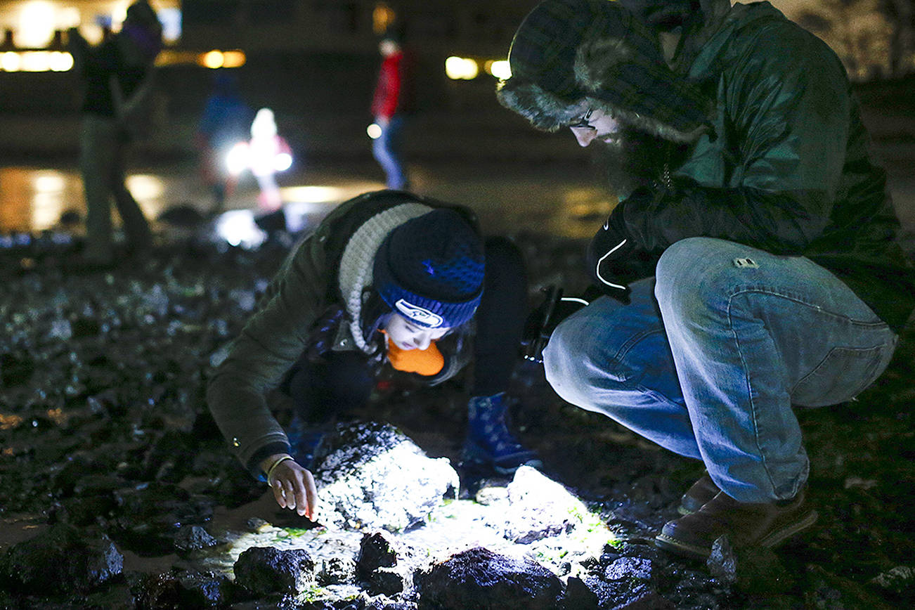 Edmonds Moonlight Beach Adventure Makes Landfall Saturday