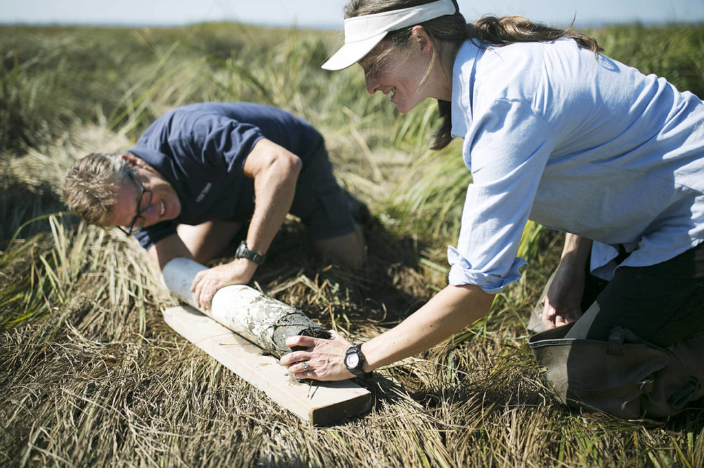 Western Washington University researchers John Rybczyk (left) and Katrina Poppe (right) take a sediment core sample at the Port Susan Bay estuary restoration project site. (Julia-Grace Sanders / The Herald)
