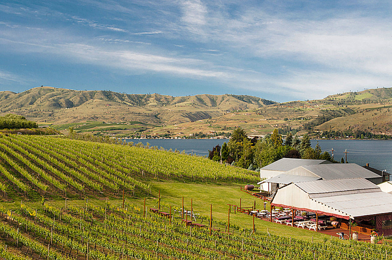 Lake chelan outlet wineries