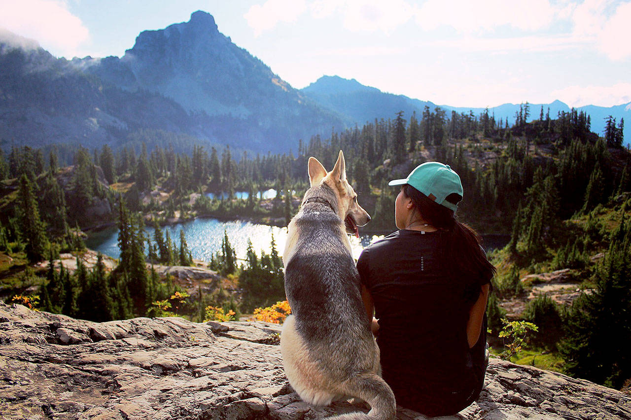 Hikes to take your dog clearance on