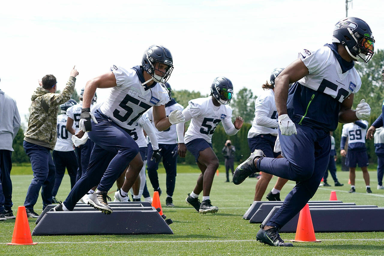 New Look Uniform  Seahawks football, Seattle seahawks, Seahawks