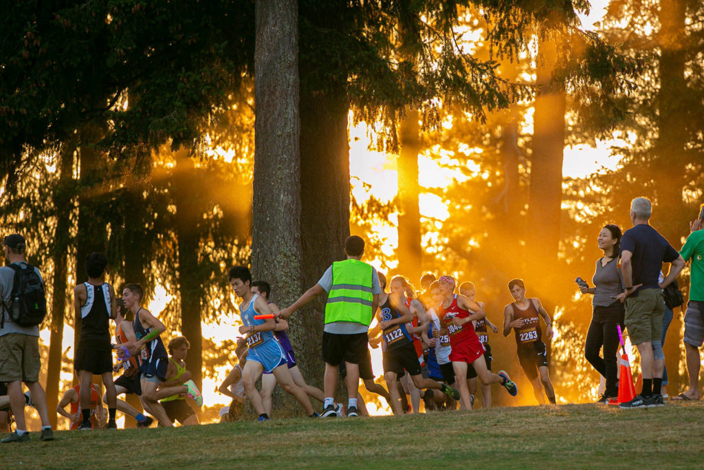 Runners in the 3A-4A Boys 5K turn a corner in the trees during the Nike Twilight Cross Country Invitational on Saturday, Oct. 1, 2022, at Cedarcrest Golf Course in Marysville, Washington. (Ryan Berry / The Herald)
