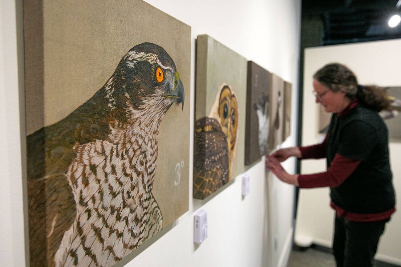 Artist Natalie Niblack works amongst her project entitled “33 Birds / Three Degrees” during the setup for Exploring The Edge at Schack Art Center on Sunday, March 19, 2023, in Everett, Washington. The paintings feature motion-activated speakers that play each bird’s unique call. (Ryan Berry / The Herald)
