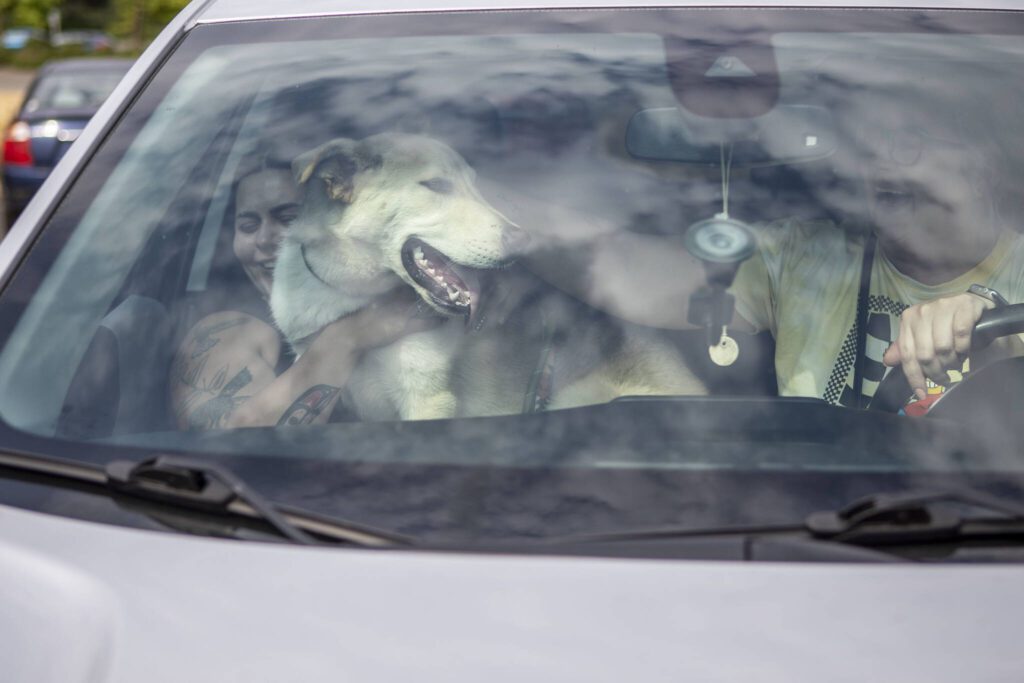 Jordan Willard, left, holds Gunner, during a Wandering Rover Field Trip at the Everett Animal Shelter in Everett on July 17, 2024. (Annie Barker / The Herald)
