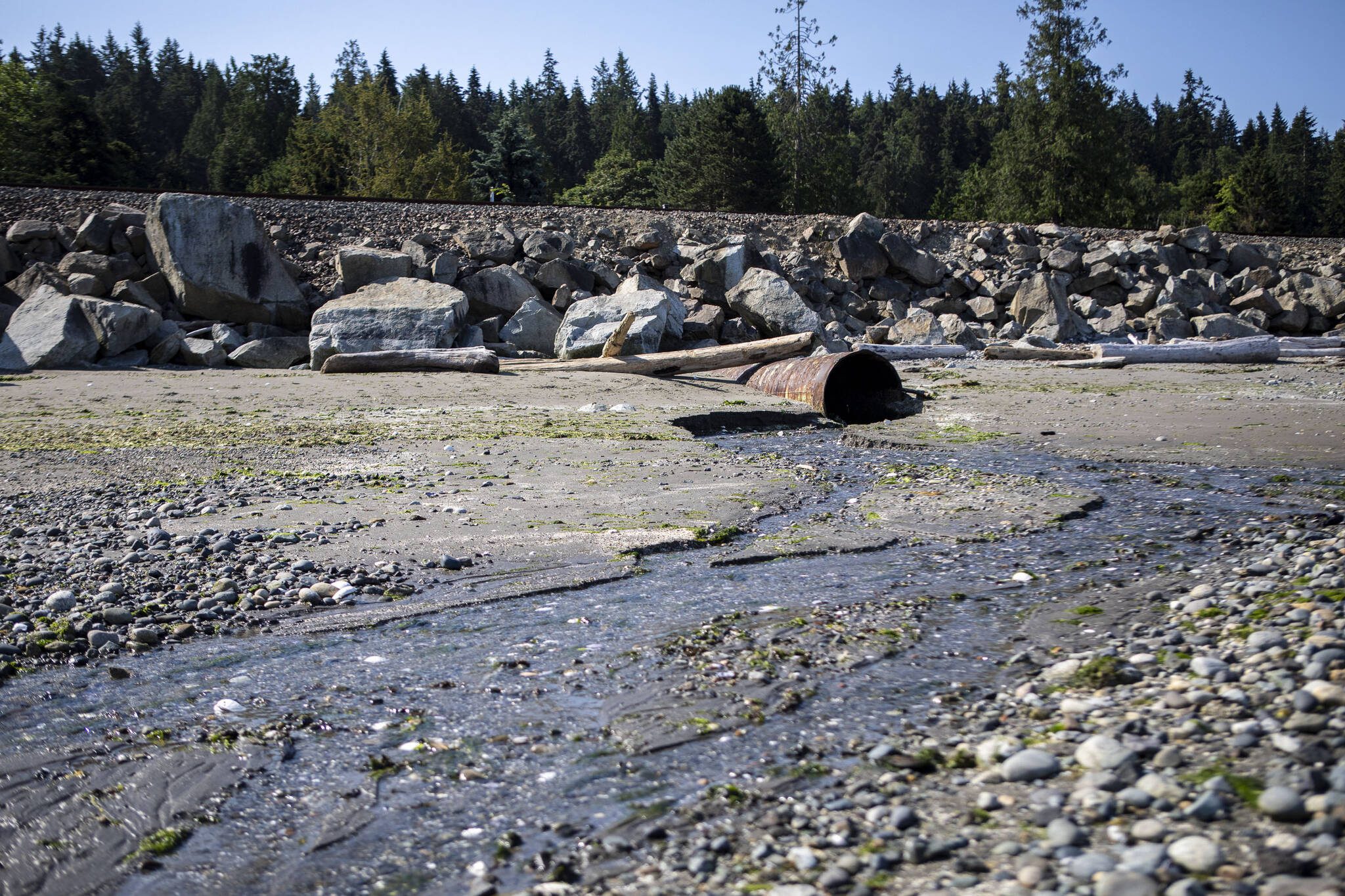 A culvert sits underneath Burlington Northern Santa Fe Railway tracks in Edmonds, Washington on Thursday, July 18, 2024. (Annie Barker / The Herald)