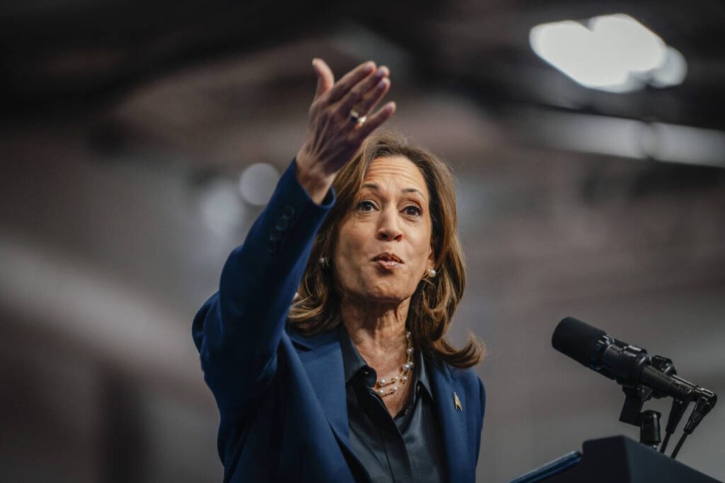 Vice President Kamala Harris, the Democratic presidential nominee, speaks during a campaign rally in La Crosse, Wis., on Oct. 17. (Jamie Kelter Davis / The New York Times)
