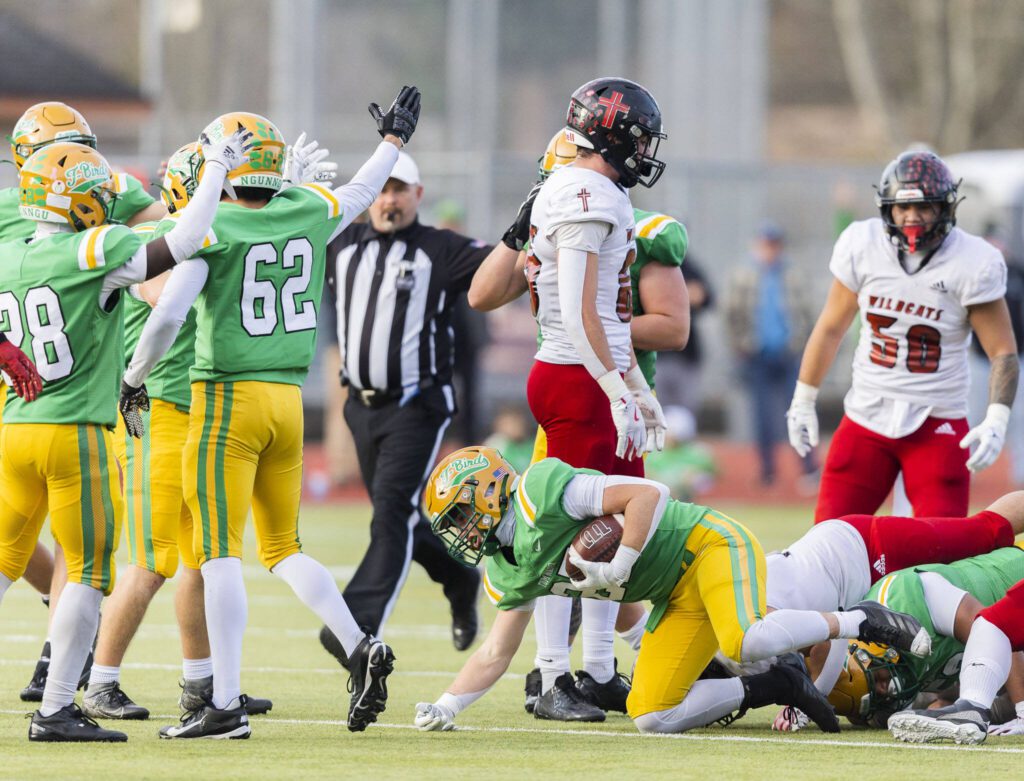 Archbishop Murphy turns over the ball during the 2A semifinal game against Tumwater on Saturday, Nov. 30, 2024 in Tumwater, Washington. (Olivia Vanni / The Herald)
