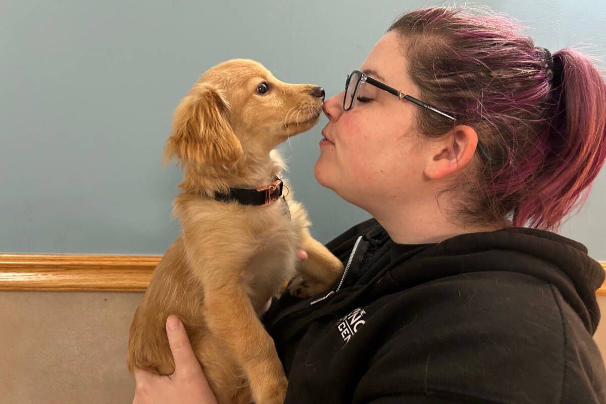 Dedicated to ending the euthanasia of healthy and adoptable pets, The NOAH Center in Stanwood combines innovative programs with a family-friendly adoption approach that has helped over 56,000 animals find loving homes since 2003. Photo courtesy of the NOAH Center.