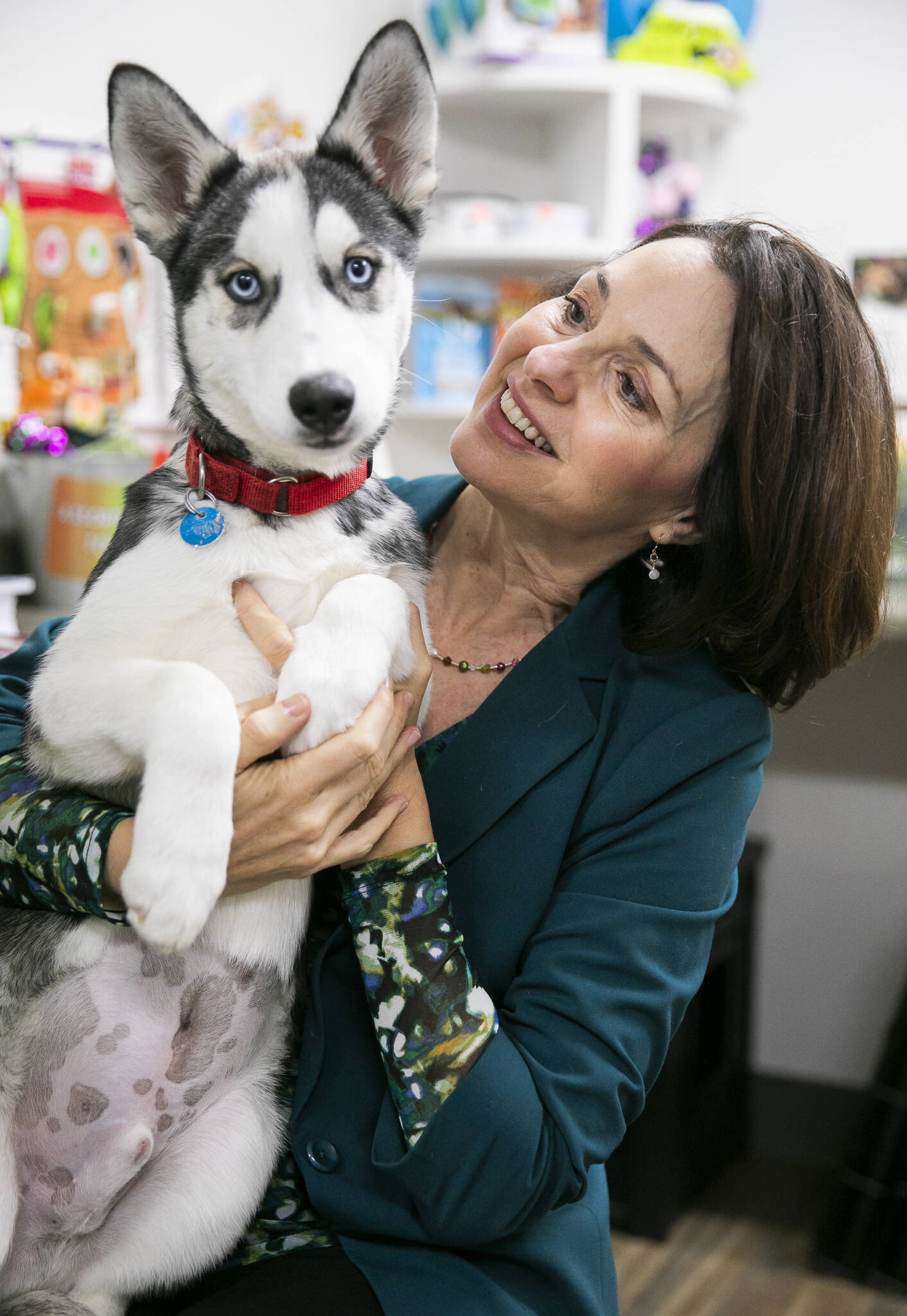 PAWS’ Companion Animal Shelter offers dogs, cats and a new leash on ...